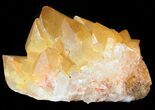 Sunshine Cactus Quartz Crystal - South Africa #47188-1